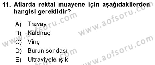 Temel Klinik Bilgisi Dersi 2021 - 2022 Yılı Yaz Okulu Sınav Soruları 11. Soru