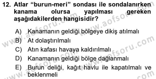 Temel Klinik Bilgisi Dersi 2021 - 2022 Yılı Yaz Okulu Sınav Soruları 12. Soru