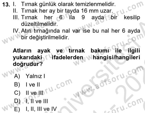 Temel Klinik Bilgisi Dersi 2021 - 2022 Yılı Yaz Okulu Sınav Soruları 13. Soru