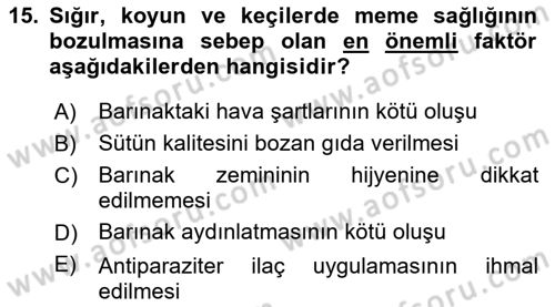 Temel Klinik Bilgisi Dersi 2021 - 2022 Yılı Yaz Okulu Sınav Soruları 15. Soru