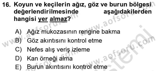 Temel Klinik Bilgisi Dersi 2021 - 2022 Yılı Yaz Okulu Sınav Soruları 16. Soru