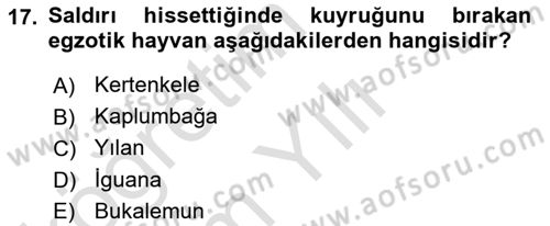 Temel Klinik Bilgisi Dersi 2021 - 2022 Yılı Yaz Okulu Sınav Soruları 17. Soru