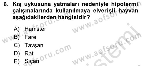 Temel Klinik Bilgisi Dersi 2021 - 2022 Yılı Yaz Okulu Sınav Soruları 6. Soru