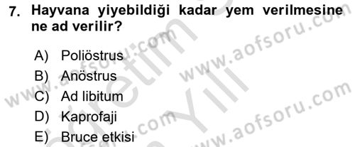 Temel Klinik Bilgisi Dersi 2021 - 2022 Yılı Yaz Okulu Sınav Soruları 7. Soru