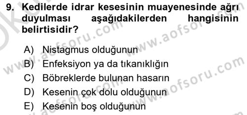 Temel Klinik Bilgisi Dersi 2021 - 2022 Yılı Yaz Okulu Sınav Soruları 9. Soru