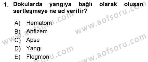 Temel Klinik Bilgisi Dersi 2022 - 2023 Yılı Yaz Okulu Sınav Soruları 1. Soru