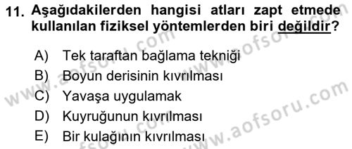 Temel Klinik Bilgisi Dersi 2022 - 2023 Yılı Yaz Okulu Sınav Soruları 11. Soru