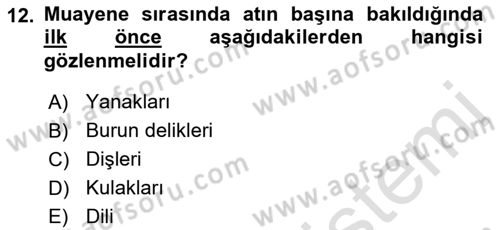 Temel Klinik Bilgisi Dersi 2022 - 2023 Yılı Yaz Okulu Sınav Soruları 12. Soru