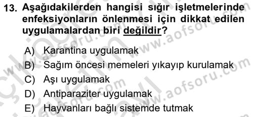 Temel Klinik Bilgisi Dersi 2022 - 2023 Yılı Yaz Okulu Sınav Soruları 13. Soru