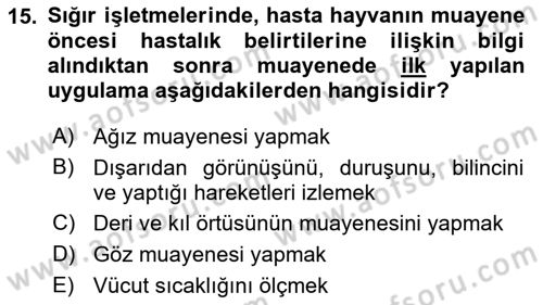 Temel Klinik Bilgisi Dersi 2022 - 2023 Yılı Yaz Okulu Sınav Soruları 15. Soru