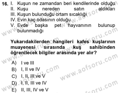 Temel Klinik Bilgisi Dersi 2022 - 2023 Yılı Yaz Okulu Sınav Soruları 16. Soru