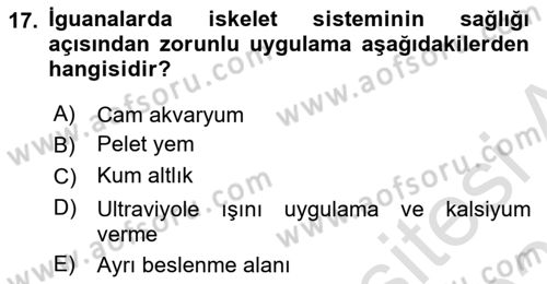 Temel Klinik Bilgisi Dersi 2022 - 2023 Yılı Yaz Okulu Sınav Soruları 17. Soru
