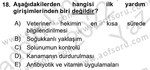 Temel Klinik Bilgisi Dersi 2022 - 2023 Yılı Yaz Okulu Sınav Soruları 18. Soru