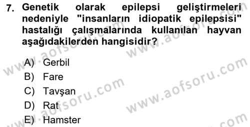 Temel Klinik Bilgisi Dersi 2022 - 2023 Yılı Yaz Okulu Sınav Soruları 7. Soru