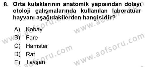Temel Klinik Bilgisi Dersi 2022 - 2023 Yılı Yaz Okulu Sınav Soruları 8. Soru