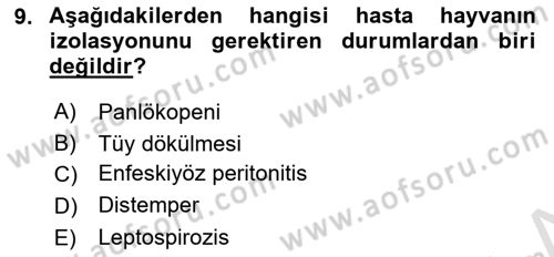 Temel Klinik Bilgisi Dersi 2022 - 2023 Yılı Yaz Okulu Sınav Soruları 9. Soru