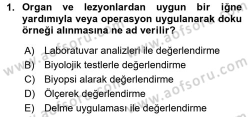 Temel Klinik Bilgisi Dersi 2023 - 2024 Yılı (Vize) Ara Sınav Soruları 1. Soru