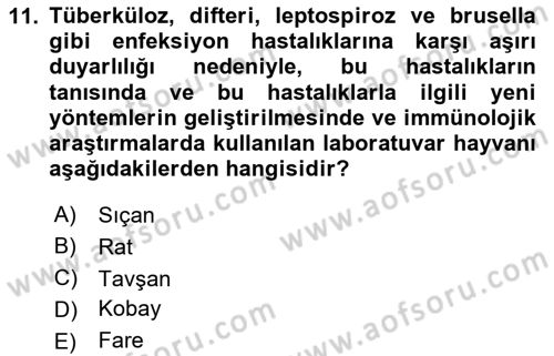 Temel Klinik Bilgisi Dersi 2023 - 2024 Yılı (Vize) Ara Sınav Soruları 11. Soru