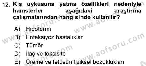 Temel Klinik Bilgisi Dersi 2023 - 2024 Yılı (Vize) Ara Sınav Soruları 12. Soru