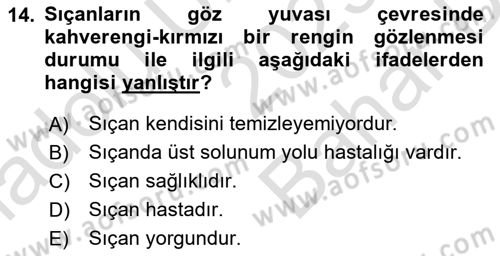 Temel Klinik Bilgisi Dersi 2023 - 2024 Yılı (Vize) Ara Sınav Soruları 14. Soru