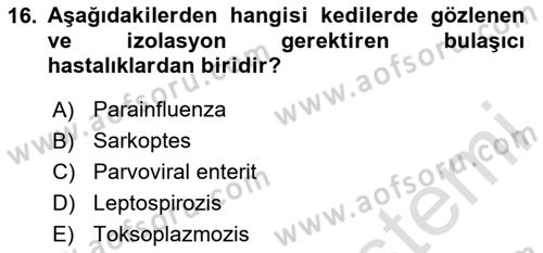 Temel Klinik Bilgisi Dersi 2023 - 2024 Yılı (Vize) Ara Sınav Soruları 16. Soru