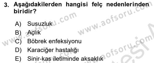Temel Klinik Bilgisi Dersi 2023 - 2024 Yılı (Vize) Ara Sınav Soruları 3. Soru