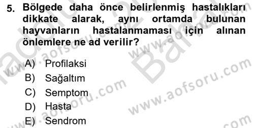 Temel Klinik Bilgisi Dersi 2023 - 2024 Yılı (Vize) Ara Sınav Soruları 5. Soru