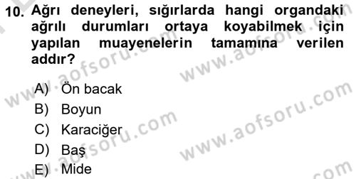 Temel Klinik Bilgisi Dersi 2023 - 2024 Yılı (Final) Dönem Sonu Sınav Soruları 10. Soru