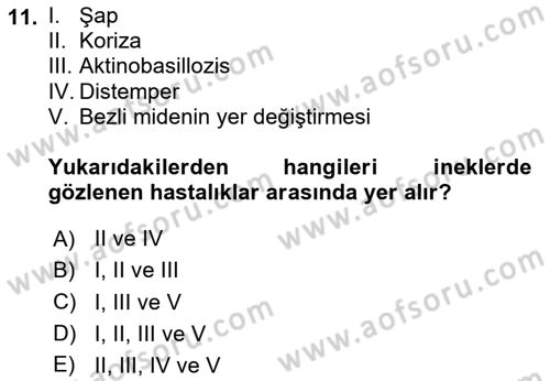 Temel Klinik Bilgisi Dersi 2023 - 2024 Yılı (Final) Dönem Sonu Sınav Soruları 11. Soru