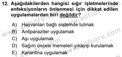 Temel Klinik Bilgisi Dersi 2023 - 2024 Yılı (Final) Dönem Sonu Sınav Soruları 12. Soru