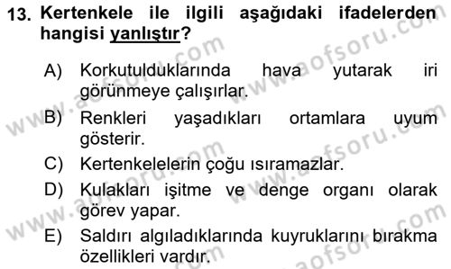 Temel Klinik Bilgisi Dersi 2023 - 2024 Yılı (Final) Dönem Sonu Sınav Soruları 13. Soru