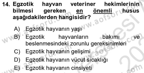 Temel Klinik Bilgisi Dersi 2023 - 2024 Yılı (Final) Dönem Sonu Sınav Soruları 14. Soru