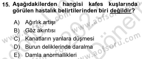 Temel Klinik Bilgisi Dersi 2023 - 2024 Yılı (Final) Dönem Sonu Sınav Soruları 15. Soru
