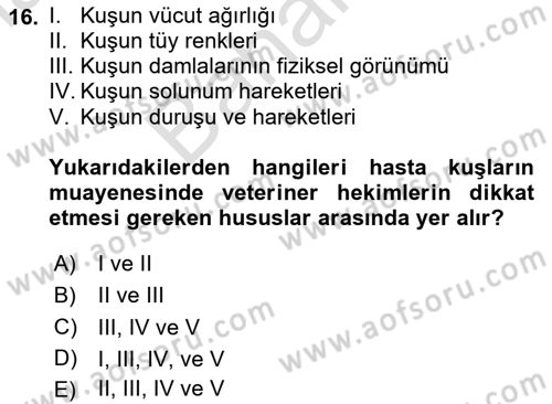 Temel Klinik Bilgisi Dersi 2023 - 2024 Yılı (Final) Dönem Sonu Sınav Soruları 16. Soru