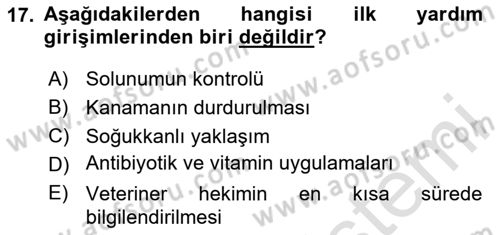 Temel Klinik Bilgisi Dersi 2023 - 2024 Yılı (Final) Dönem Sonu Sınav Soruları 17. Soru