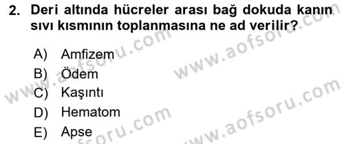 Temel Klinik Bilgisi Dersi 2023 - 2024 Yılı (Final) Dönem Sonu Sınav Soruları 2. Soru
