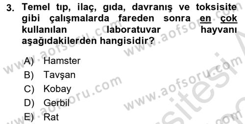 Temel Klinik Bilgisi Dersi 2023 - 2024 Yılı (Final) Dönem Sonu Sınav Soruları 3. Soru