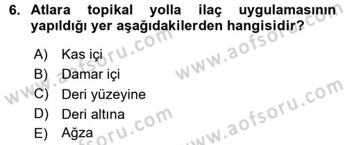 Temel Klinik Bilgisi Dersi 2023 - 2024 Yılı (Final) Dönem Sonu Sınav Soruları 6. Soru