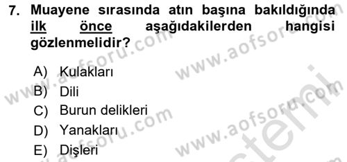 Temel Klinik Bilgisi Dersi 2023 - 2024 Yılı (Final) Dönem Sonu Sınav Soruları 7. Soru