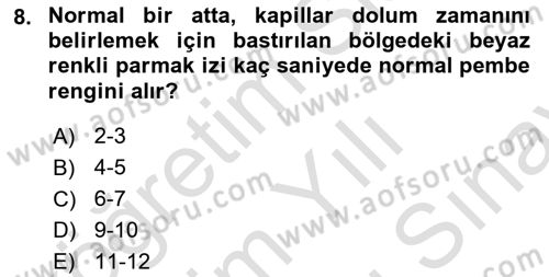 Temel Klinik Bilgisi Dersi 2023 - 2024 Yılı (Final) Dönem Sonu Sınav Soruları 8. Soru