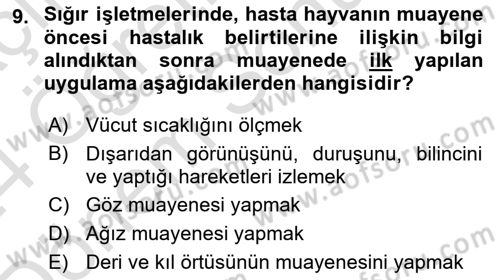 Temel Klinik Bilgisi Dersi 2023 - 2024 Yılı (Final) Dönem Sonu Sınav Soruları 9. Soru