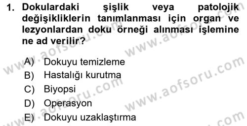 Temel Klinik Bilgisi Dersi 2023 - 2024 Yılı Yaz Okulu Sınav Soruları 1. Soru