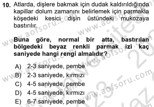 Temel Klinik Bilgisi Dersi 2023 - 2024 Yılı Yaz Okulu Sınav Soruları 10. Soru