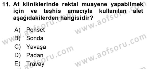 Temel Klinik Bilgisi Dersi 2023 - 2024 Yılı Yaz Okulu Sınav Soruları 11. Soru