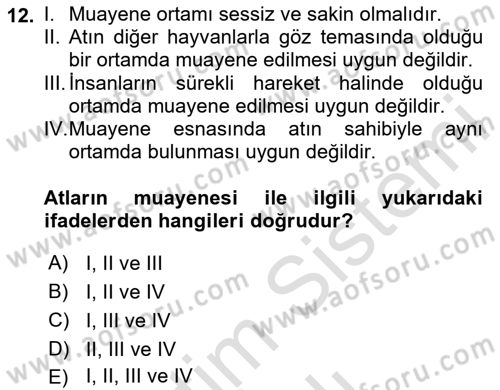 Temel Klinik Bilgisi Dersi 2023 - 2024 Yılı Yaz Okulu Sınav Soruları 12. Soru