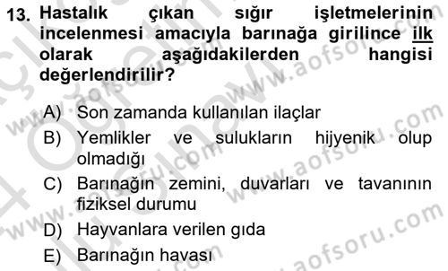 Temel Klinik Bilgisi Dersi 2023 - 2024 Yılı Yaz Okulu Sınav Soruları 13. Soru