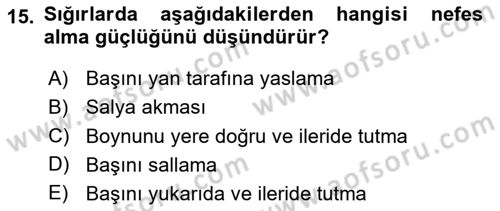 Temel Klinik Bilgisi Dersi 2023 - 2024 Yılı Yaz Okulu Sınav Soruları 15. Soru