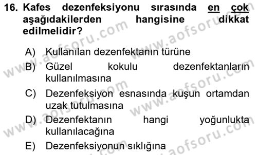 Temel Klinik Bilgisi Dersi 2023 - 2024 Yılı Yaz Okulu Sınav Soruları 16. Soru
