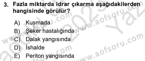 Temel Klinik Bilgisi Dersi 2023 - 2024 Yılı Yaz Okulu Sınav Soruları 3. Soru