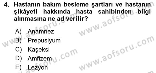 Temel Klinik Bilgisi Dersi 2023 - 2024 Yılı Yaz Okulu Sınav Soruları 4. Soru